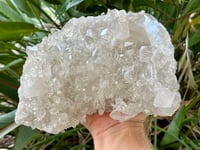 Image 19 of Large Clear Quartz Points Cluster Statement Piece #2596