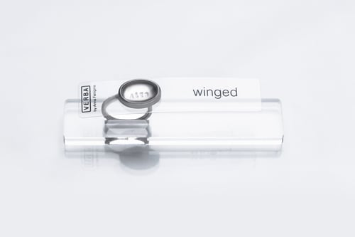 Image of "Winged" silver ring with rock crystal · ALES ·