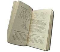 Image 3 of Tassajara Cooking by Edward Espe Brown