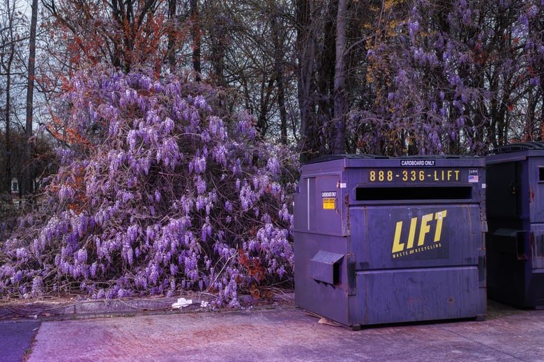 Image of Wisteria Dumpster