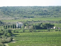 Image 4 of Meet the Winzerin: Château La Baronne