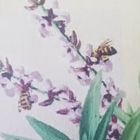 Image 3 of Sage & Bees | Fine Art Print