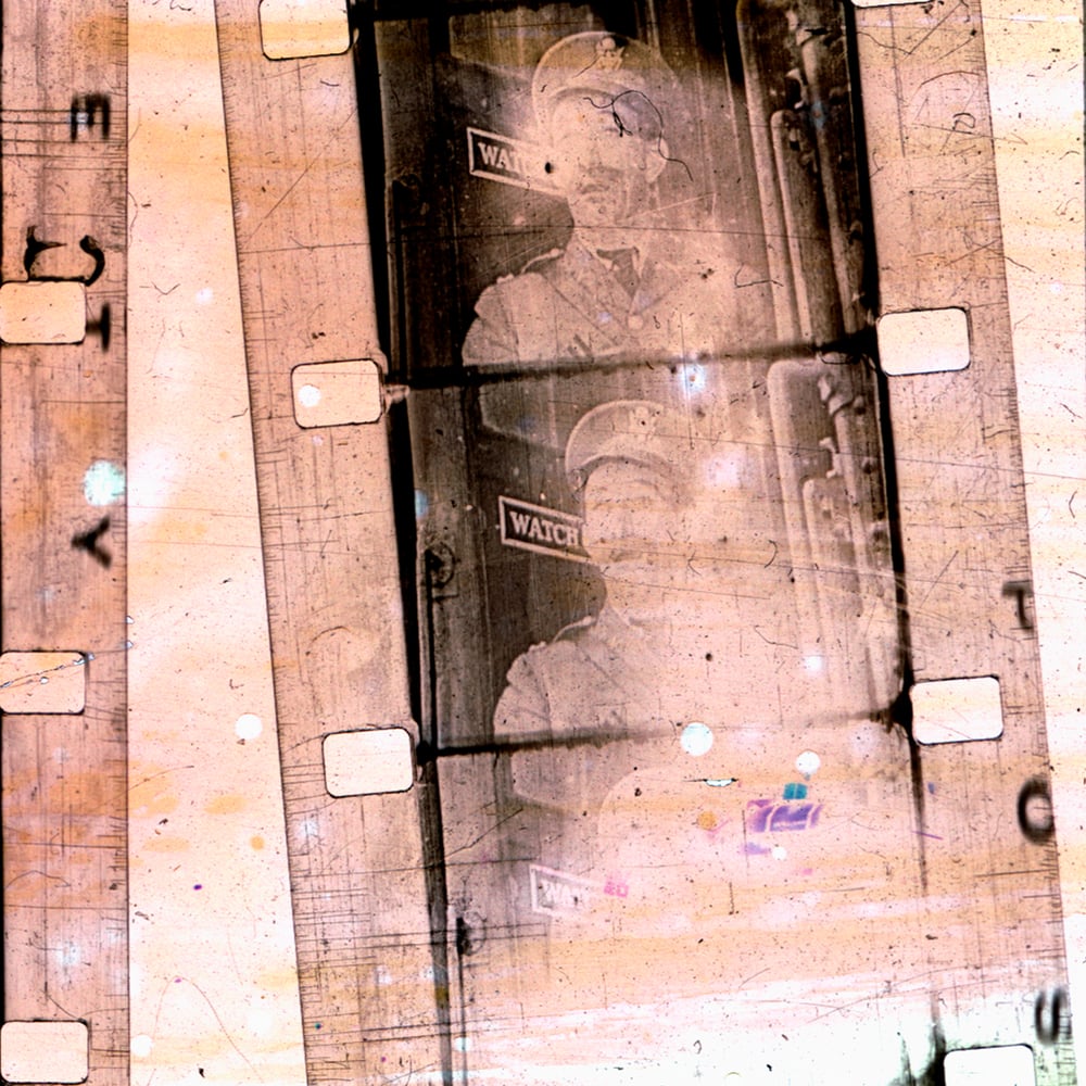 Image of Tim Olive / Savvas Metaxas "Wayward Acorn"
