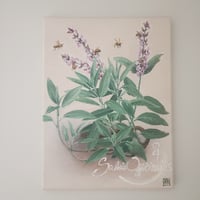 Image 1 of Sage & Bees | Oil on Canvas