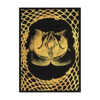 Image 1 of Argiope "Death Ovary Traces" CD Digipak (Tribe Tapes)