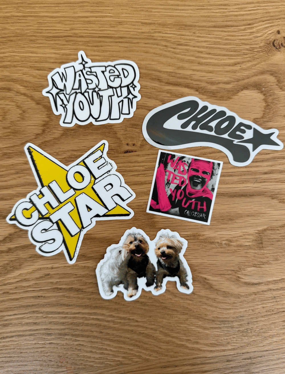 WASTED YOUTH COMPOSITION NOTEBOOK + STICKERS