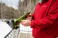 Image 7 of Slingshot Pistol Rifle, Laser Sights, Spectraply Wood, Left or Right Handed Shooter, Wooden Catapult