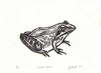 Image 1 of Wood Frog Linocut 4" x 5"