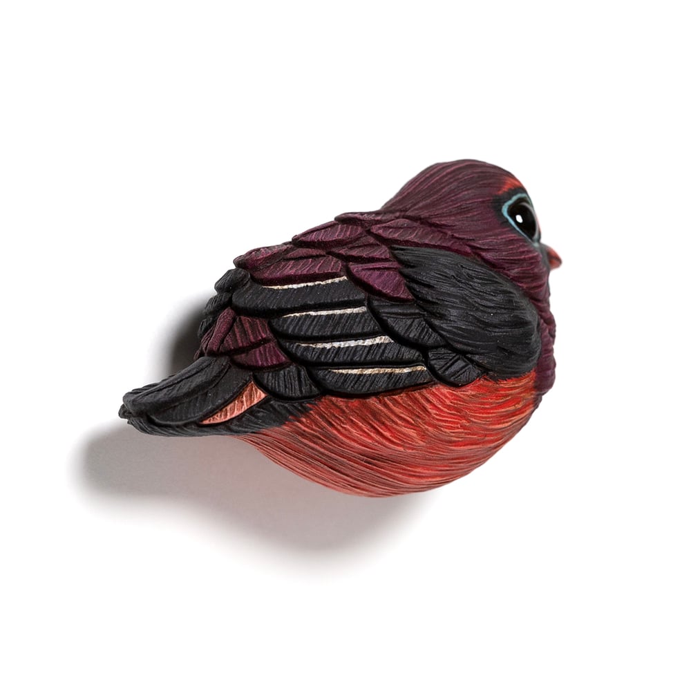 Image of Mini Bird: Ward's Trogon