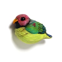 Image 2 of Mini Bird: Plum-Headed Parakeet