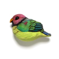 Image 1 of Mini Bird: Plum-Headed Parakeet