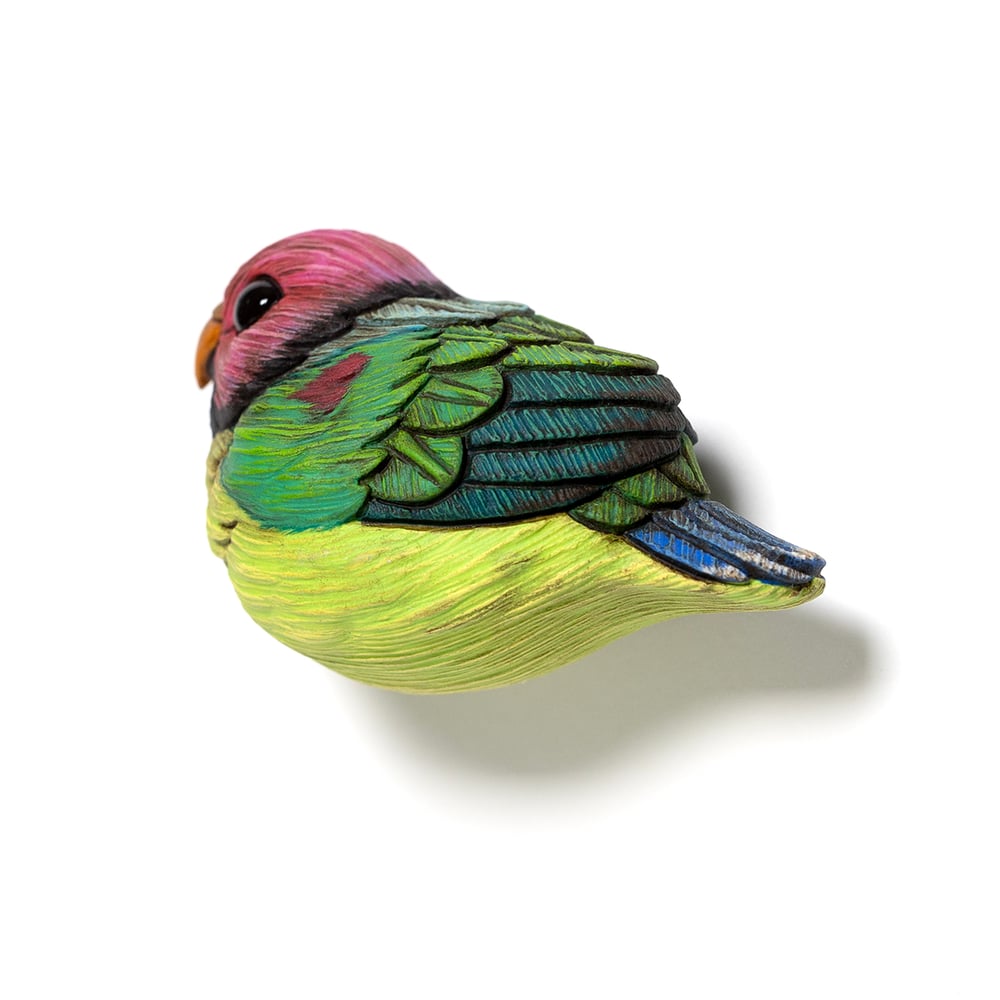 Image of Mini Bird: Plum-Headed Parakeet
