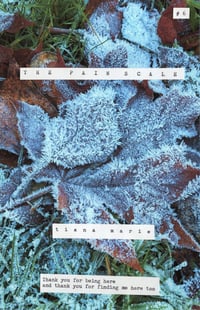 Image 2 of The Pain Scale (#6)