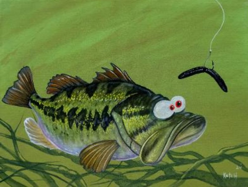 Image of "Senko"