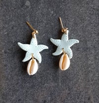 Image 2 of Starfish glacier
