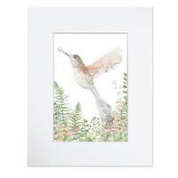 Image 2 of Spring Hummingbird