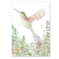 Image 3 of Spring Hummingbird