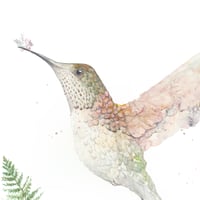 Image 1 of Spring Hummingbird