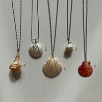 Image 2 of Seashell Pendant Necklace