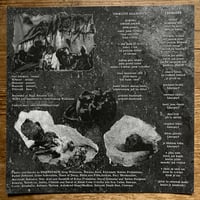 Image 3 of Sequestrum/Sněť split 7"