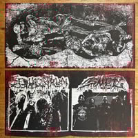 Image 9 of Sequestrum/Sněť split 7"