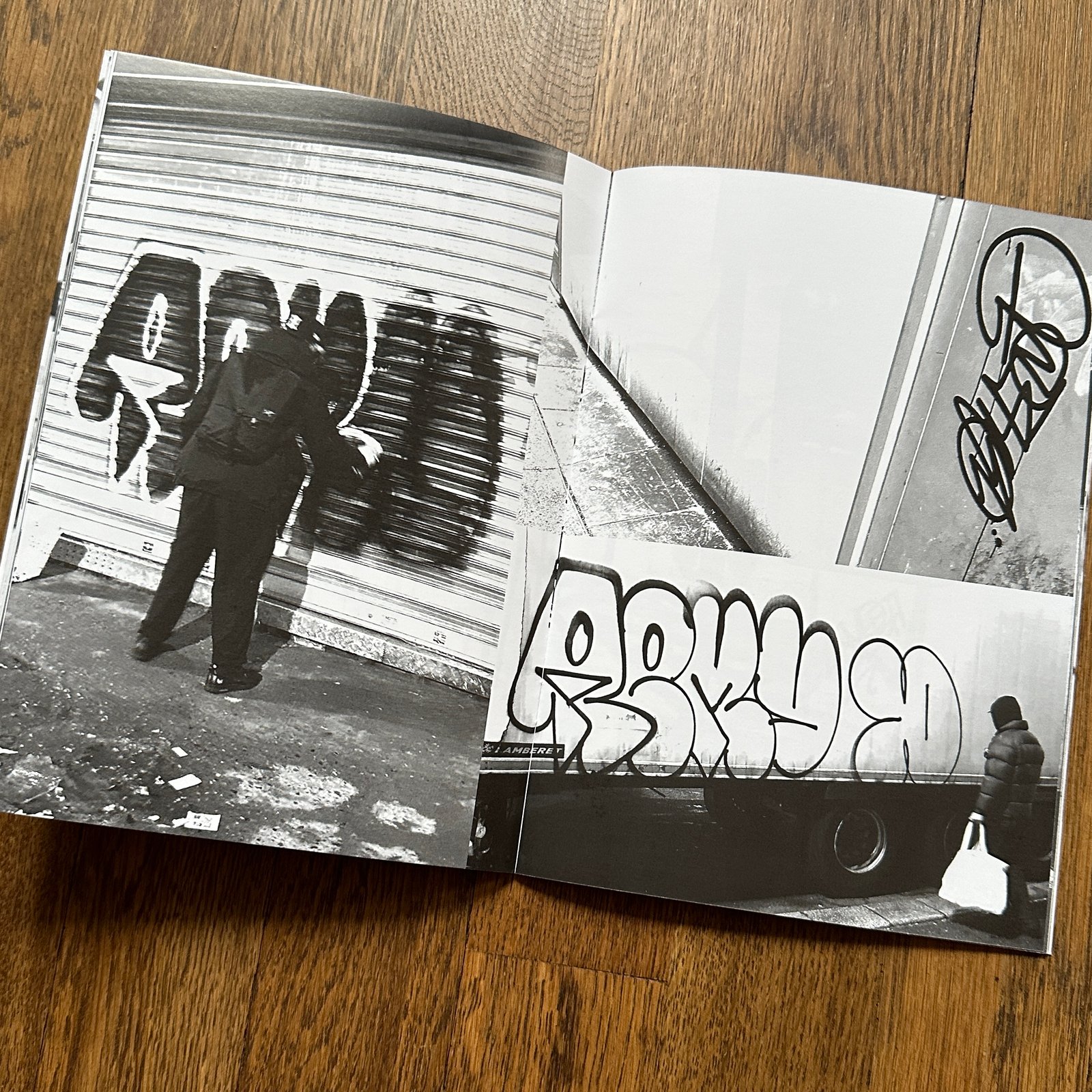 Vandal Life by REMIO VTS | Carnage NYC