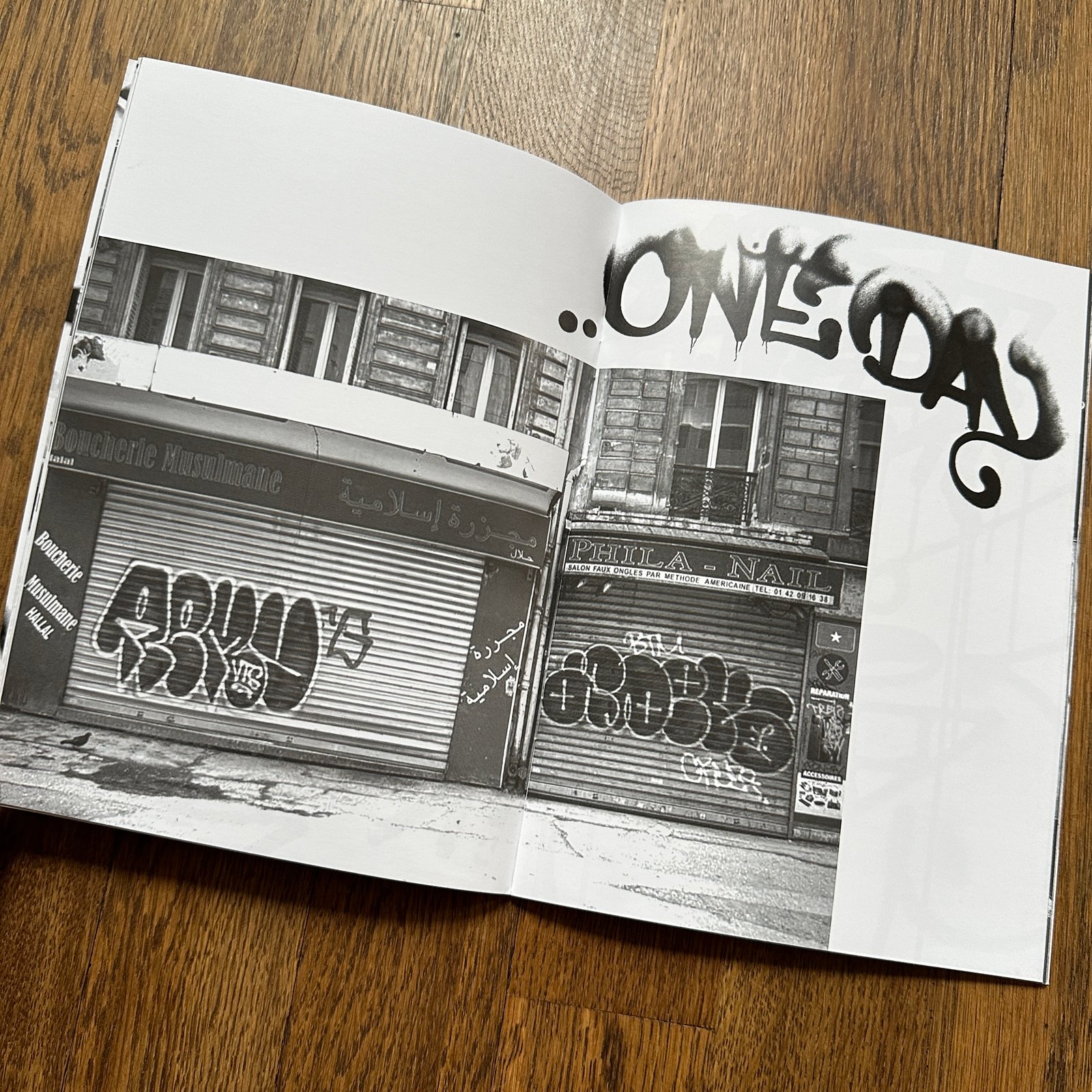 Vandal Life by REMIO VTS | Carnage NYC