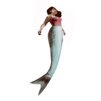 Image 2 of Sirène SELMA