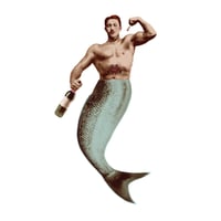 Image 3 of Triton FANCH