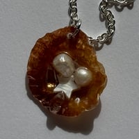 Image 1 of Peach Mother of Pearl Shell Necklace