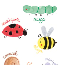 Image 3 of Lámina insectos - 2 idiomas (A4)