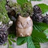 Holloway Oak Owl Amulet (DAM596)