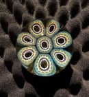 Image 1 of Concentric Millefiori Marble with Pinwheels and Airtrap