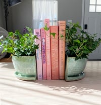 Image 3 of Book End Planters Preorder