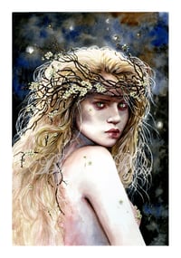Image 1 of The Hawthorn Fairy