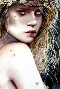 Image 3 of The Hawthorn Fairy