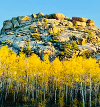 Rocks and Aspens