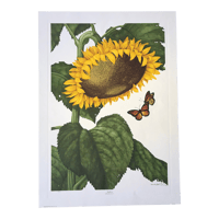 1970s Original Lithograph by Manabu Saito Featuring a Sunflower, Signed and Numbered, in Portfolio