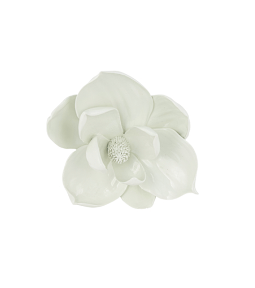 Image of Magnolia Wall Flower