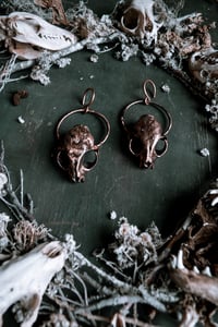 Image 1 of Copper Cat Skull ear hangers