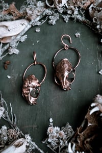 Image 3 of Copper Cat Skull ear hangers