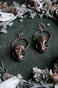 Image 4 of Copper Cat Skull ear hangers