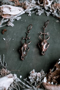 Image 2 of Wolf Skulls copper ear hangers