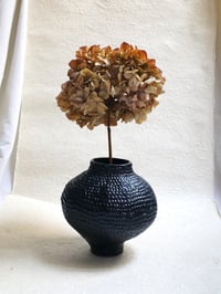 Image 1 of Hasard n°1