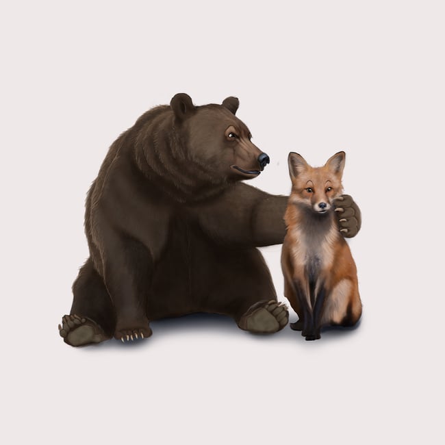 Grizzly Bear Red Fox T-Shirt