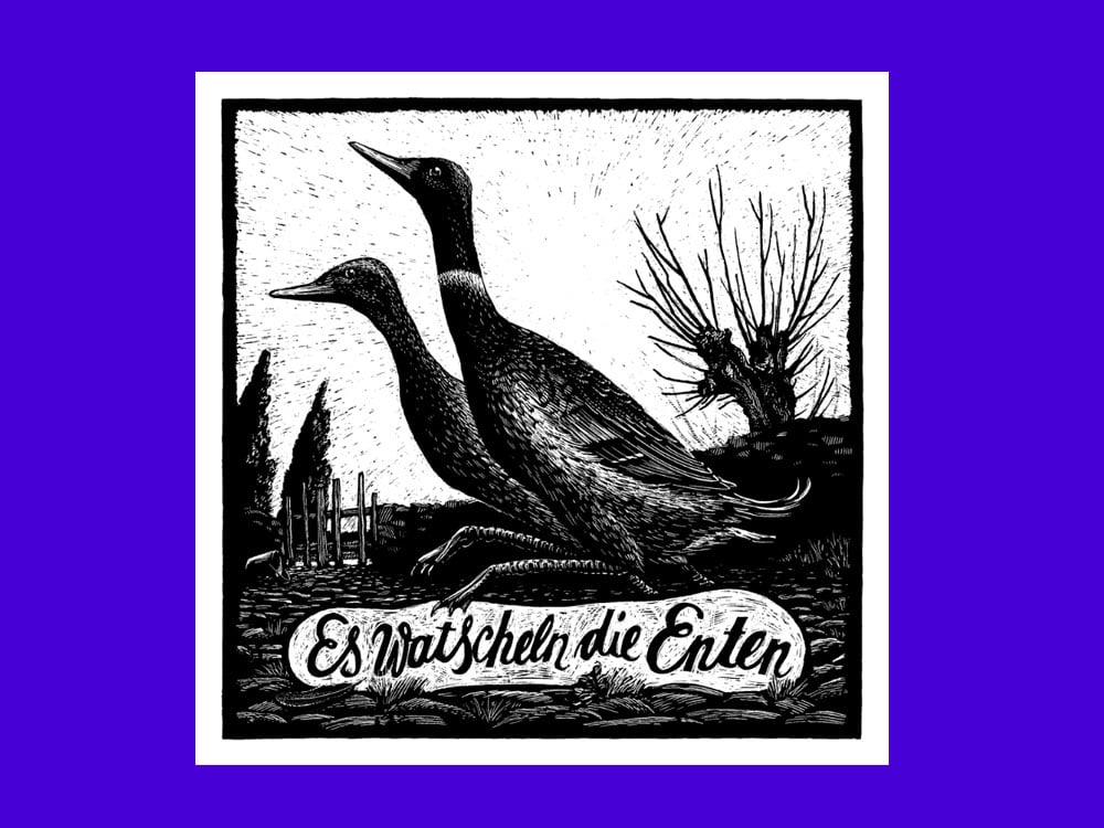 Image of SIEBDRUCK Enten