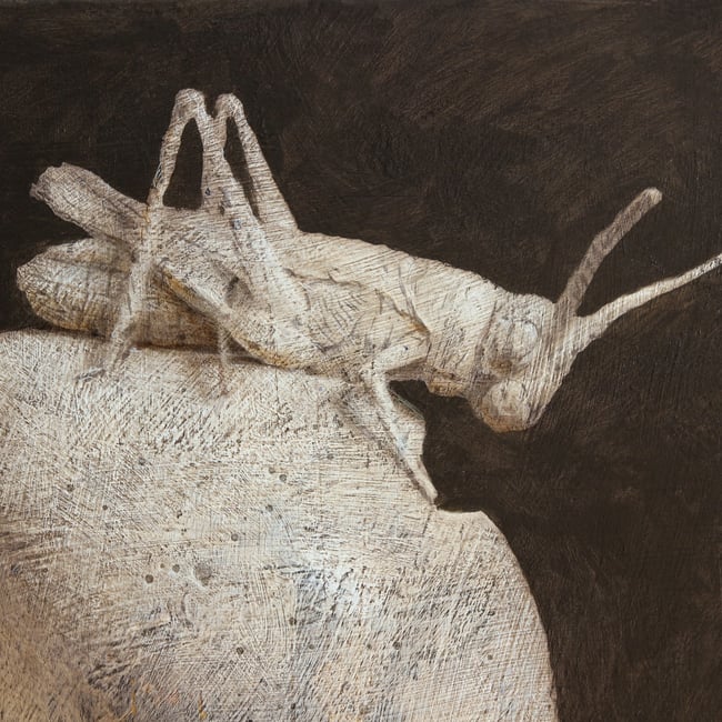 Still Life With Locust.