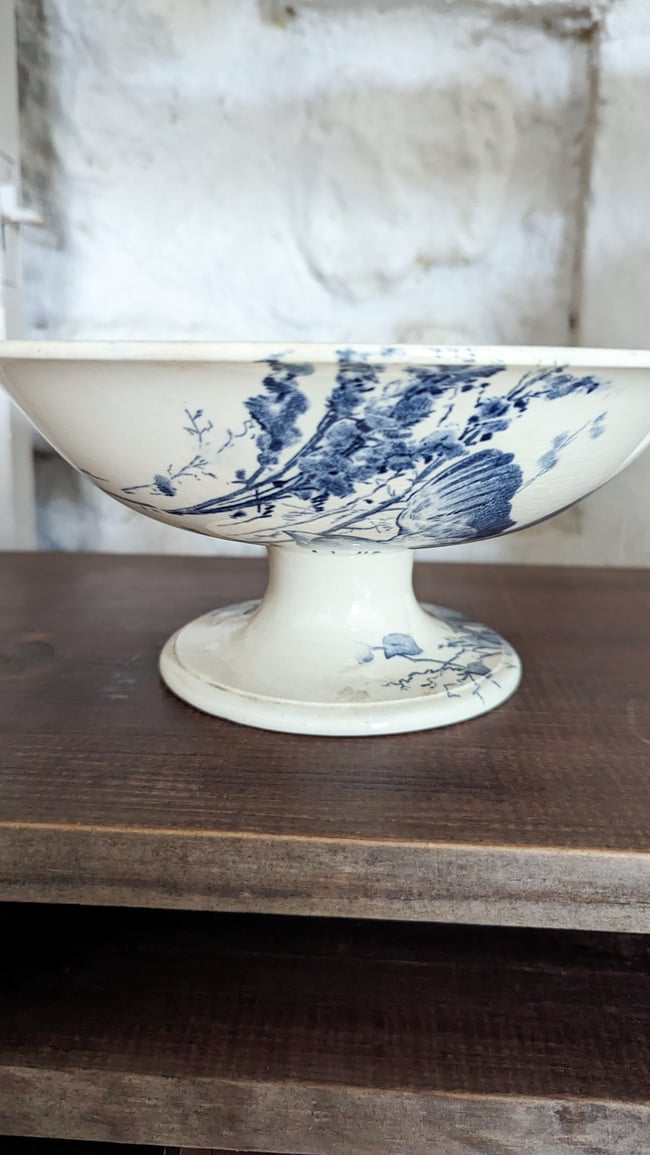 Service Oiseaux Creil et Montereau 