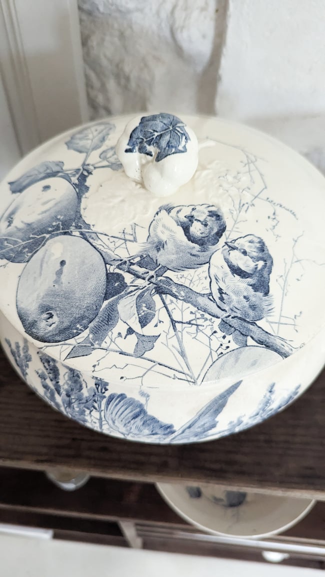 Service Oiseaux Creil et Montereau 