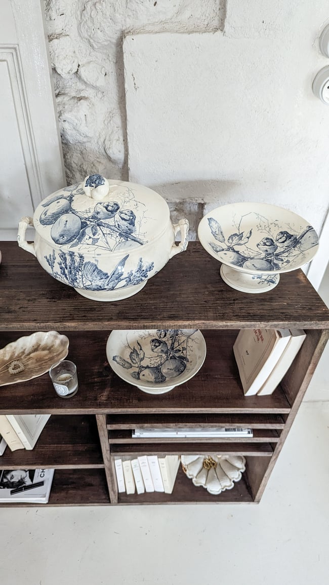 Service Oiseaux Creil et Montereau 